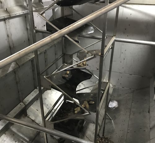 Silos de almacenamiento de papa 180tn